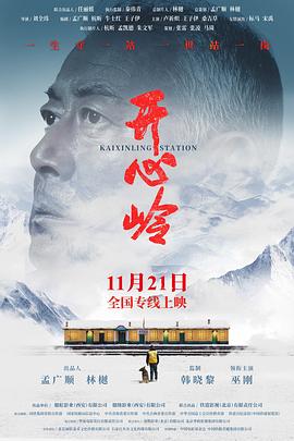 开心岭封面图