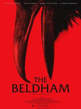 贝尔德姆封面图