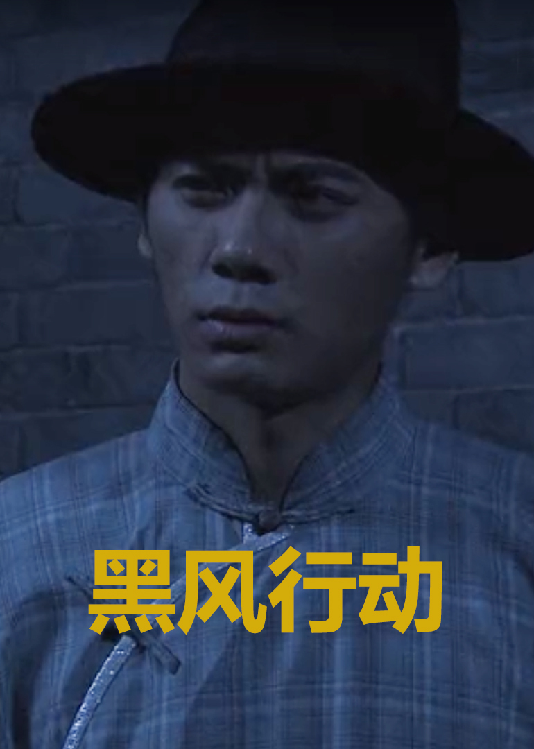 黑风行动封面图